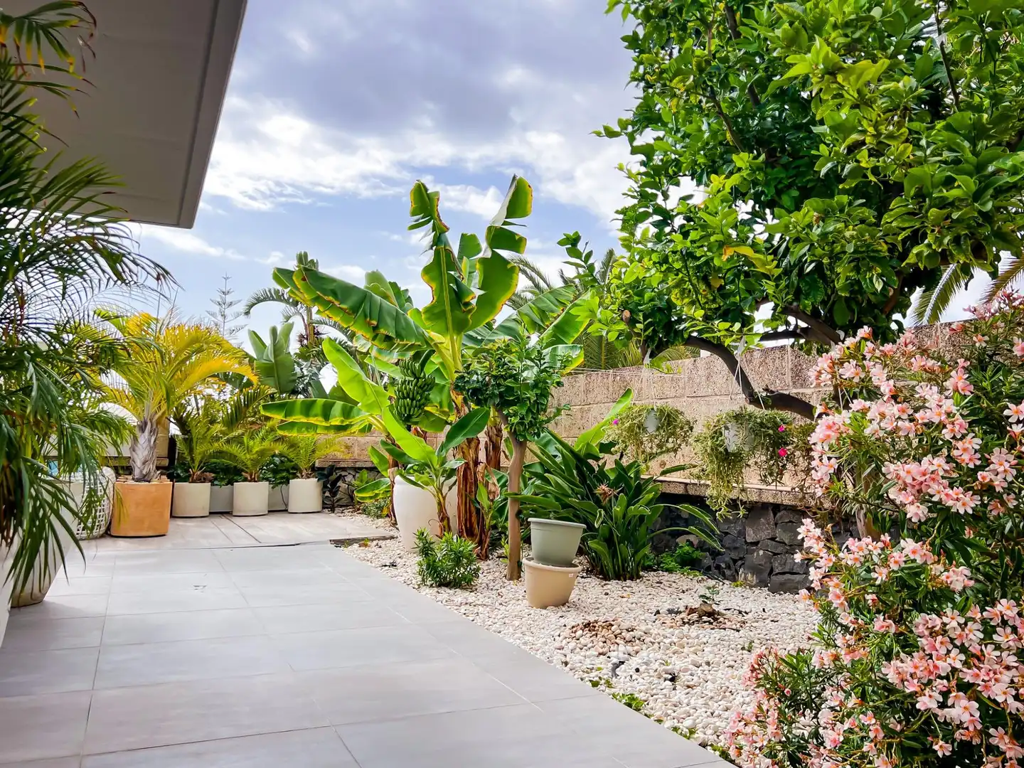 Terrassa de Casa o xalet en venda en Adeje amb Aire condicionat, Jardí privat i Terrassa