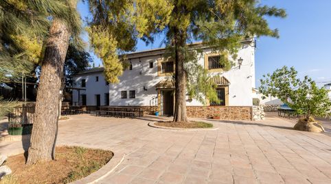 FINCA RURAL Y CORTIJO DE ÉPOCA CON LICENCIA VTAR. GILENA. SEVILLA.
