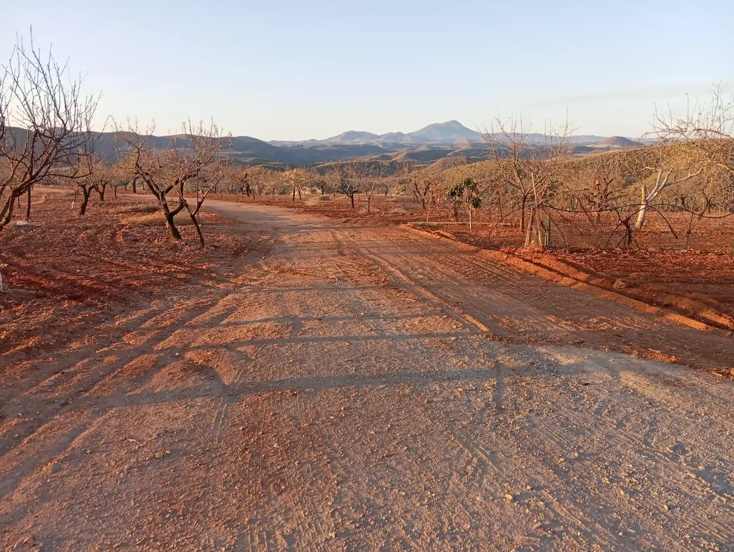 Houses for sale in Bejar