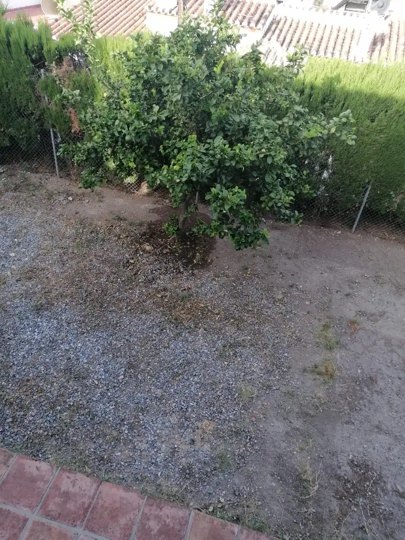 Xalet amb terrassa en venda a Cotobro, imagen 16