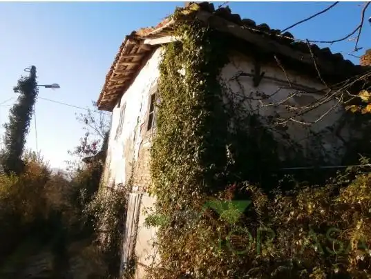 Vista exterior de Finca rústica en venta en Pravia