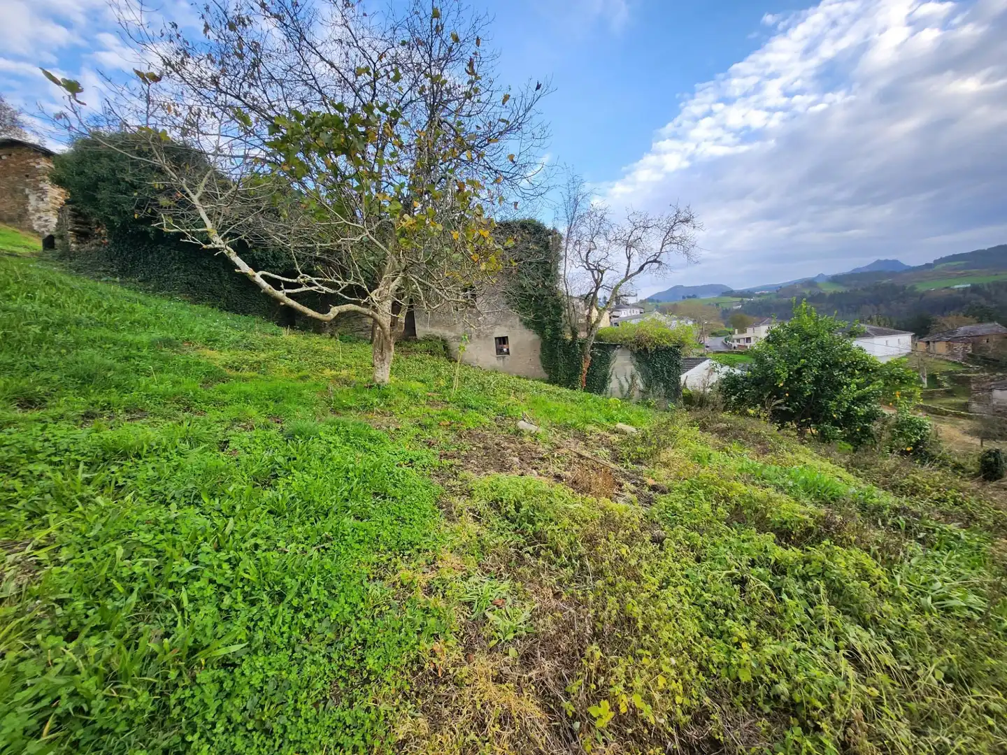 Maison avec jardin à vendre à Lugar LOREDO 5, imagen 32