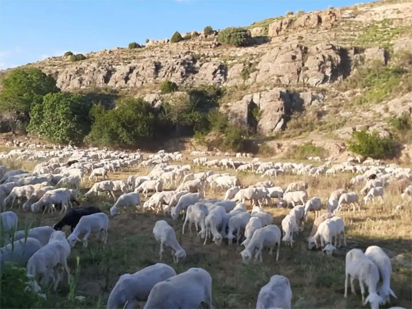 Vista exterior de Finca rústica en venda en Dévanos amb Jardí privat