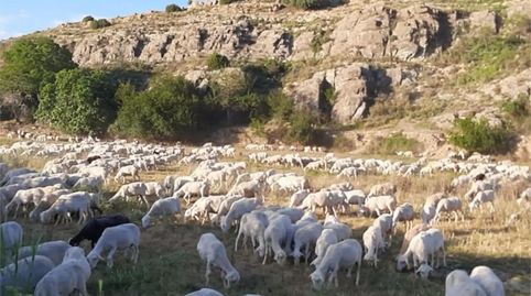 Foto 2 de Finca rústica en venda a Calle Molino, 5, Dévanos, Soria
