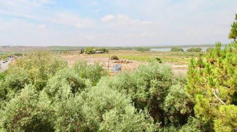 Foto 5 de Apartament de lloguer a Gaspar Perelló, Alicante