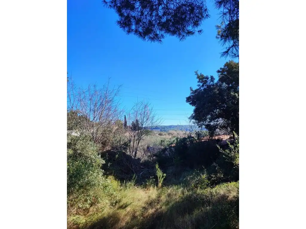 Terreno residencial en venta en Calle Ceps Dels, imagen 8