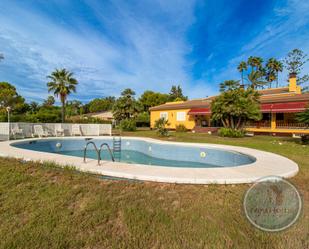 Garden of House or chalet for sale in Elche / Elx