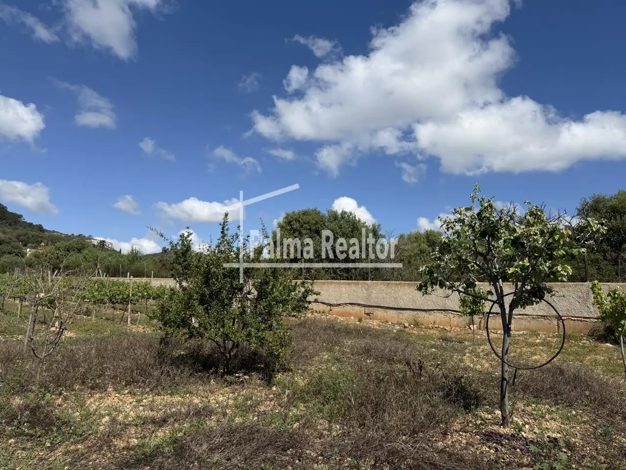 Residential for sale in Son Servera