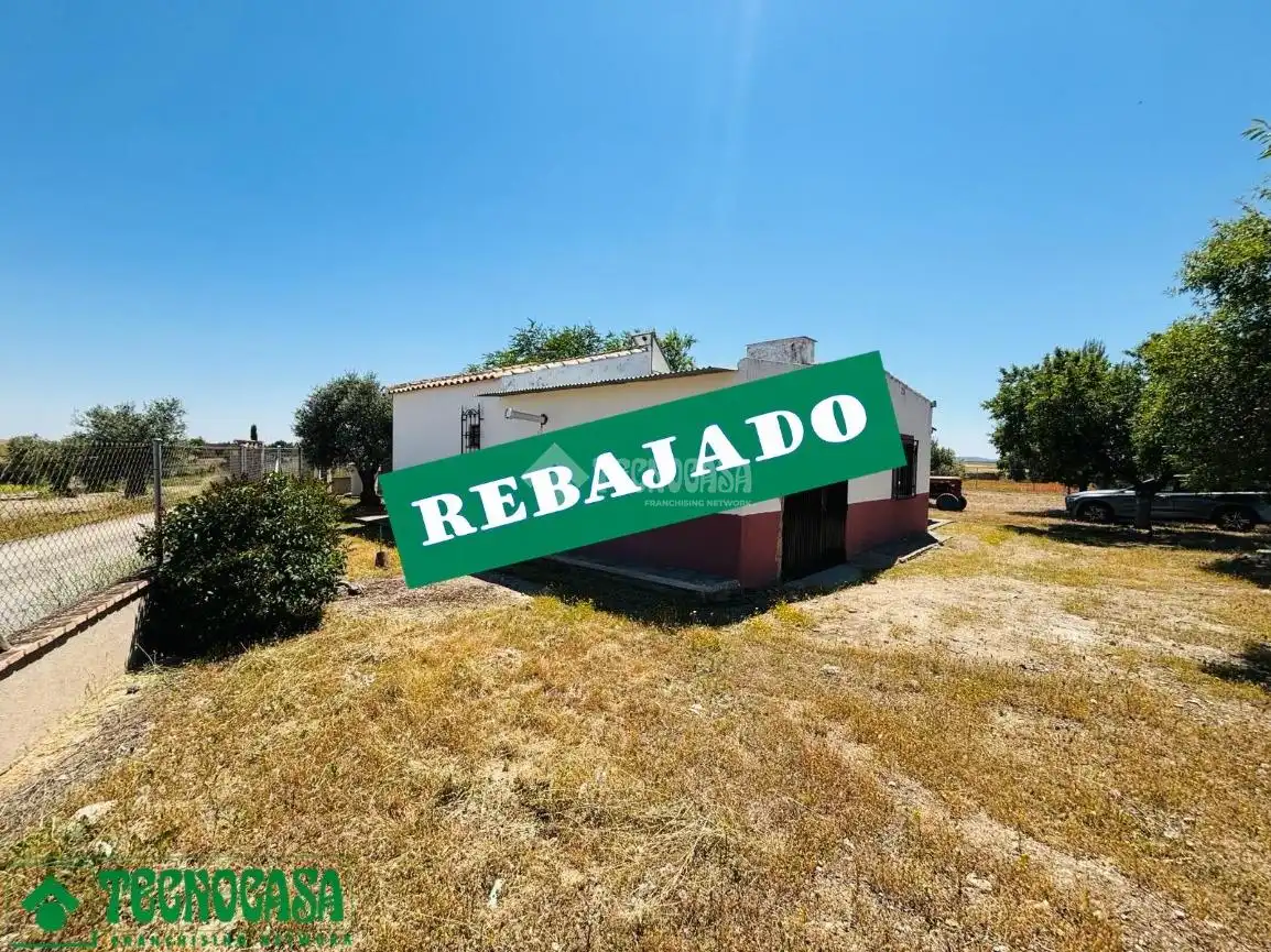 Land for sale in Mascaraque