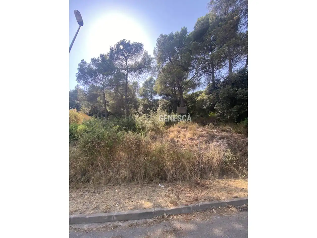 Wohnbaugrundstück zum Verkauf in Camino Font de la Tartrana 85, imagen 5