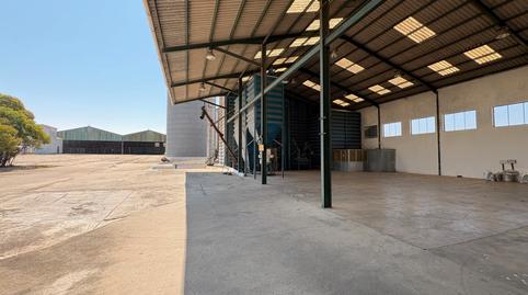 Photo 3 of Industrial buildings for sale in Este, Badajoz