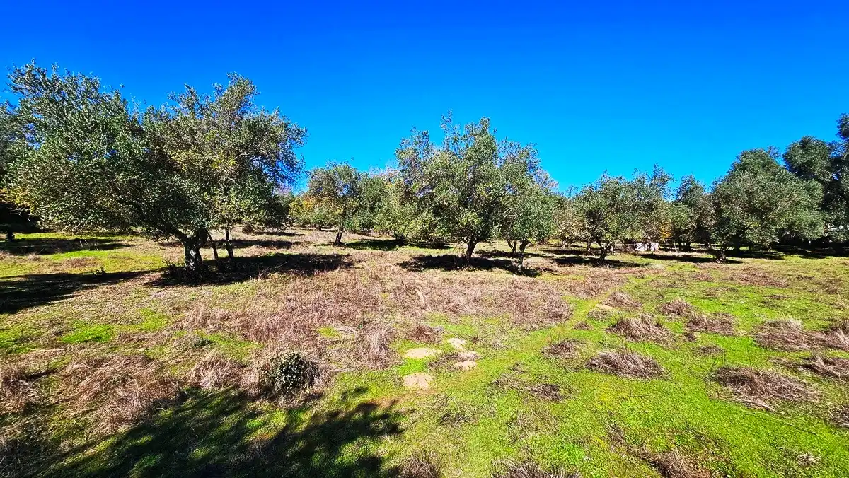 Casa rústica amb jardí en venda a Aracena, imagen 26