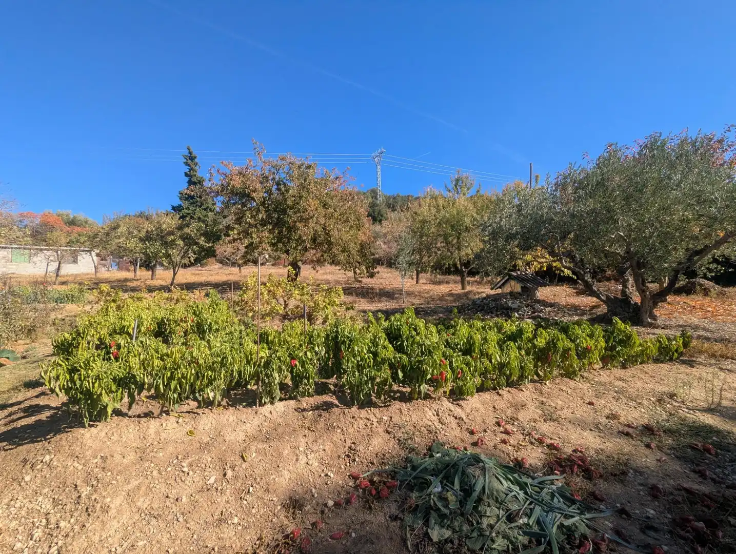 Terreno rustico in vendita a Estella / Lizarra, imagen 3