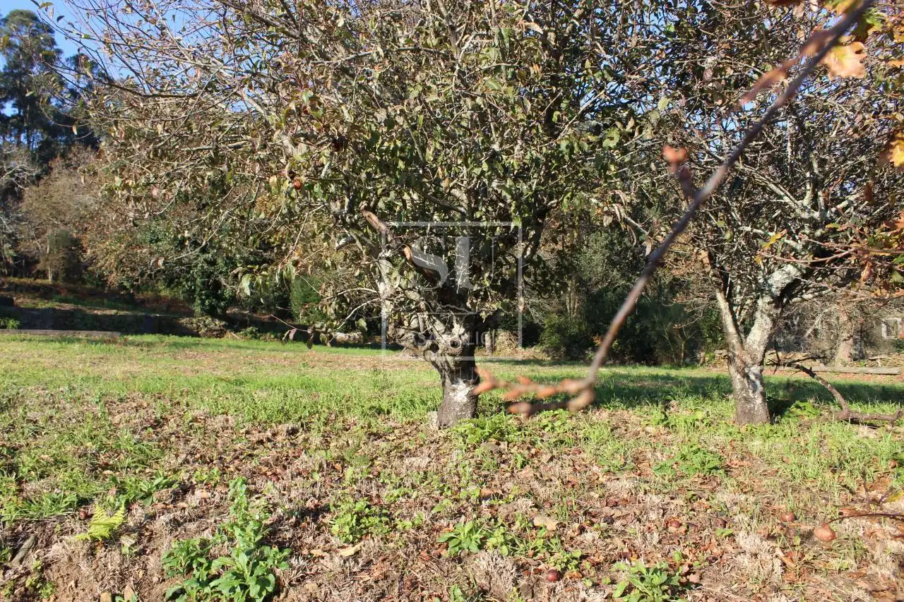 Xalet amb jardí en venda a O Rosal, imagen 3