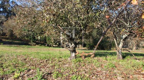 Foto 3 de Casa o chalet en venta en O Rosal , Pontevedra