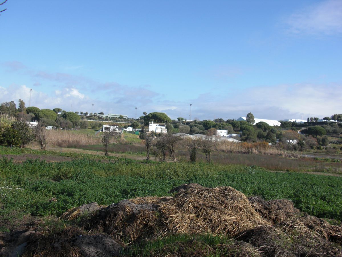 Finca rústica en venda en Barbate