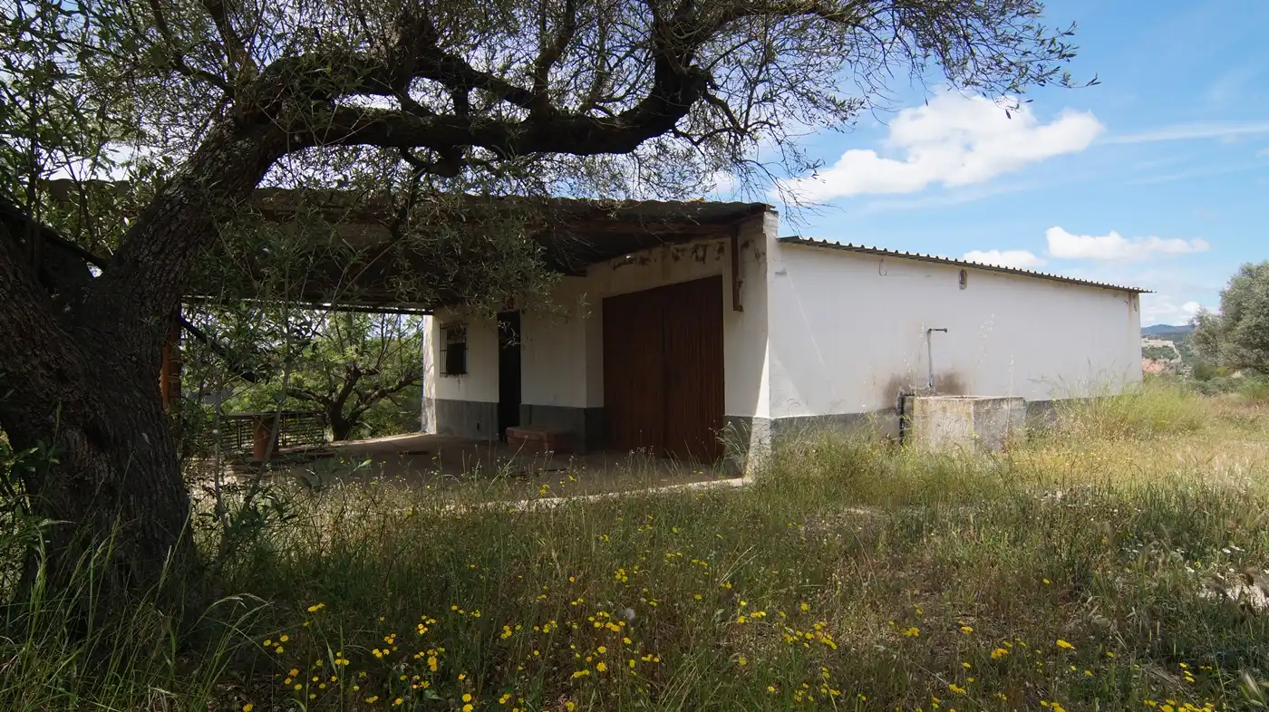 Vista exterior de Terreno en venta en Ginestar