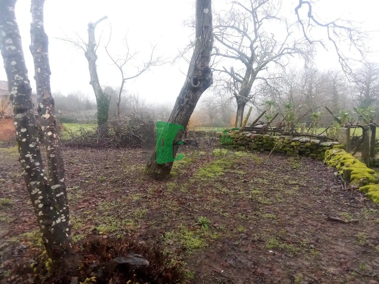 Casa amb jardí en venda a San Cristovo de Cea, imagen 18