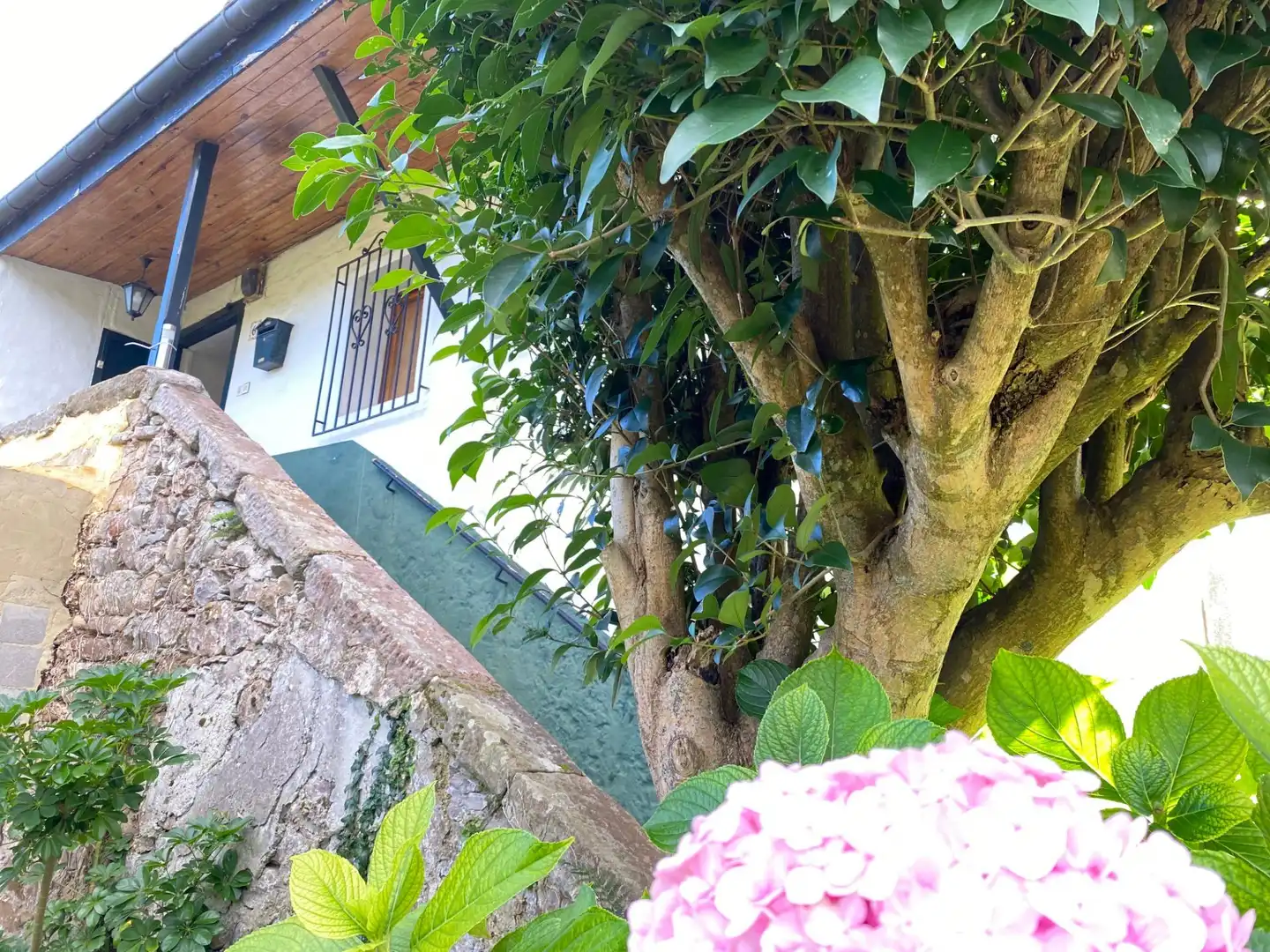 Jardín de Casa adosada en venta en Villaviciosa con Trastero y Balcón