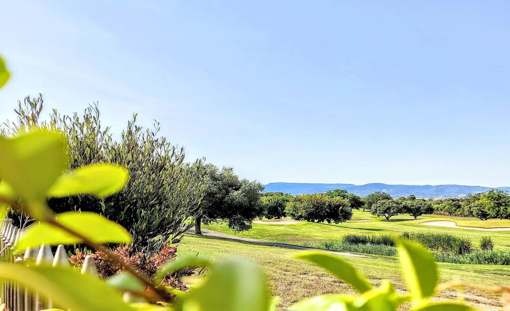 Jardí de Casa o xalet en venda en Reus amb Aire condicionat, Calefacció i Jardí privat