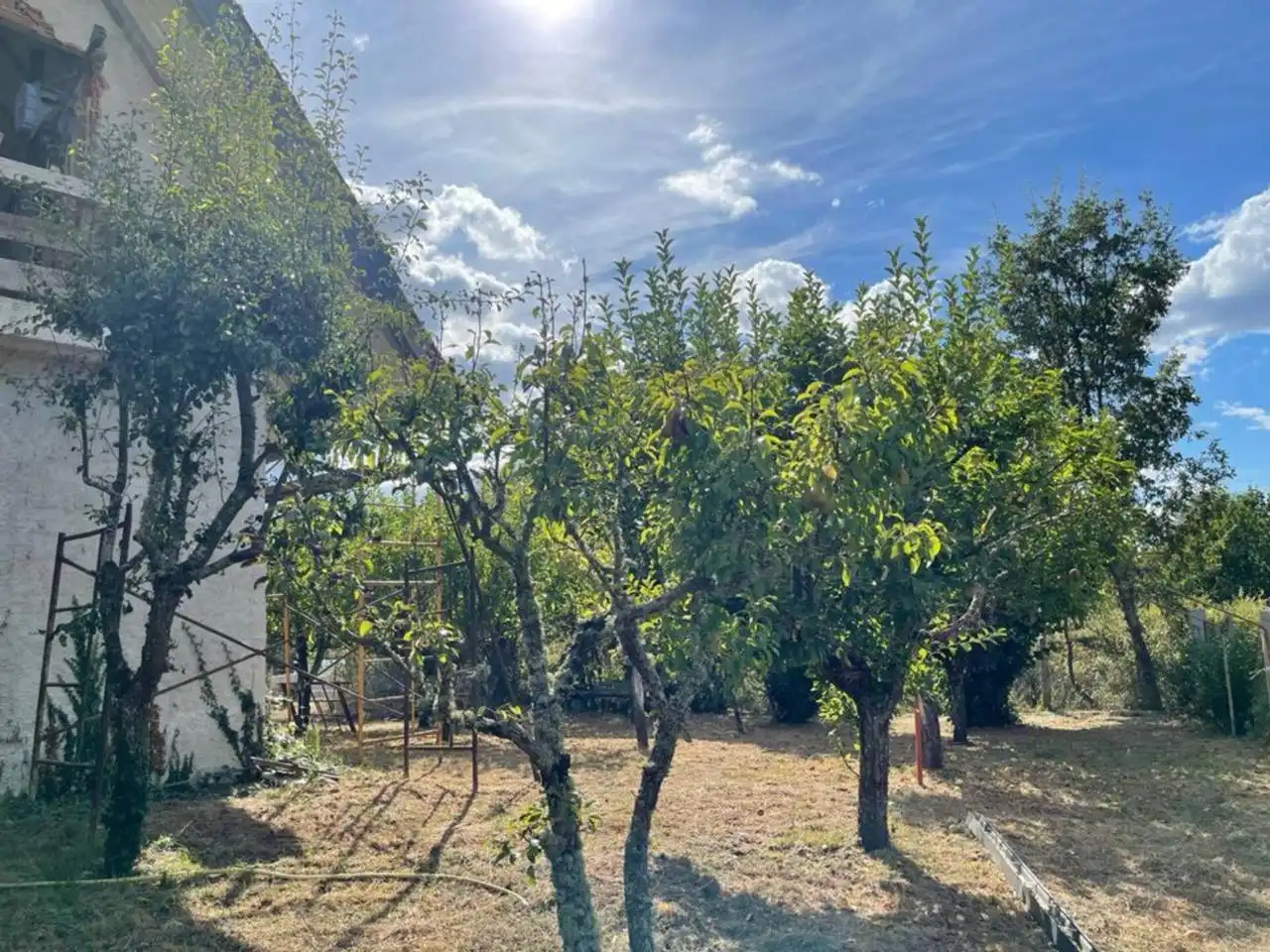 Xalet amb jardí en venda a O Pereiro de Aguiar, imagen 7