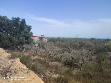 Terreno rustico in vendita a Torreblanca