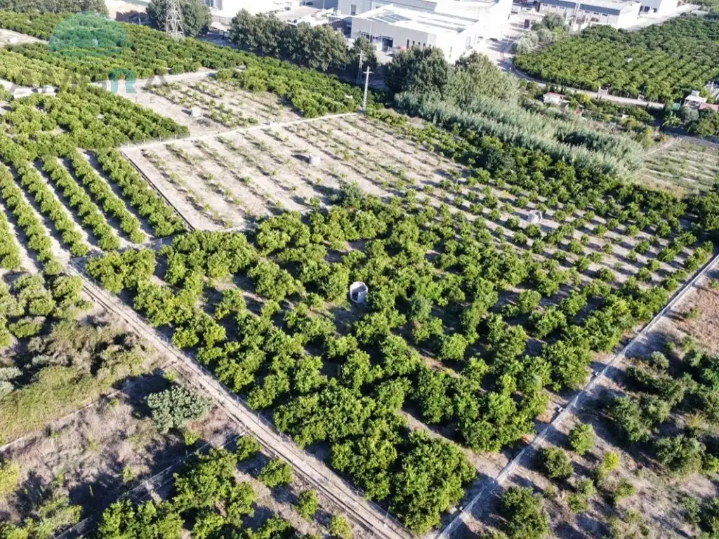 Rustikales Grundstück zum Verkauf in Poligono 3 Paraje 36 Hilo Del Pueblo, imagen 8