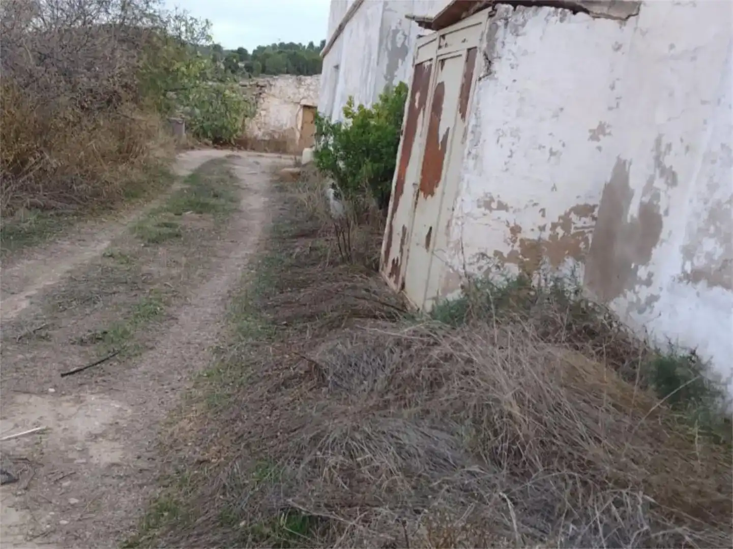 Finca rústica en venda en Yecla