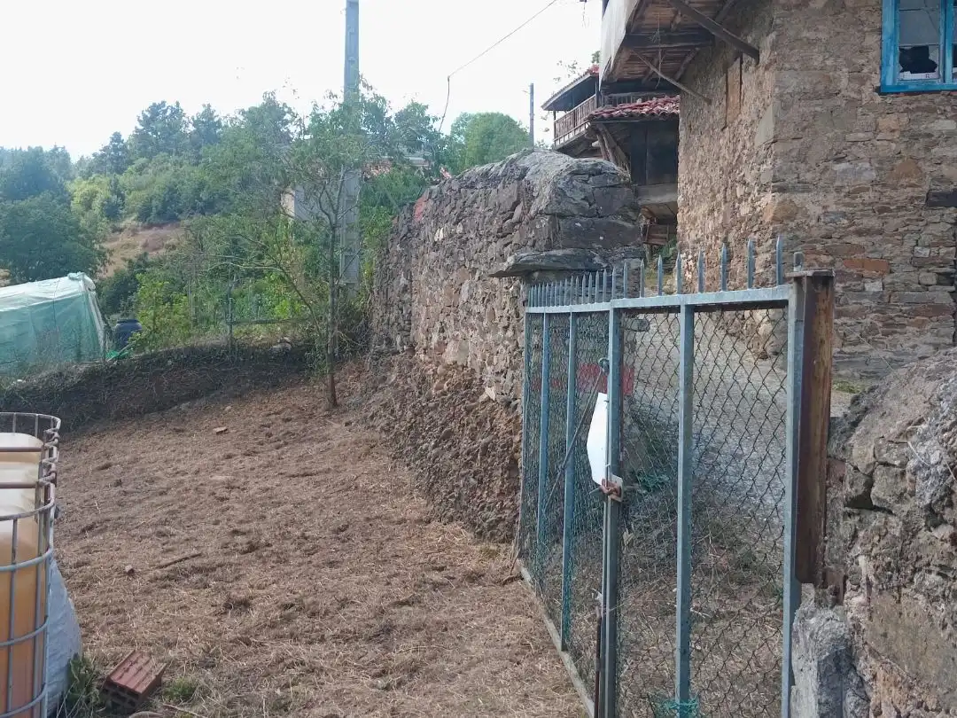 Casa o xalet en venda en Tineo amb Terrassa