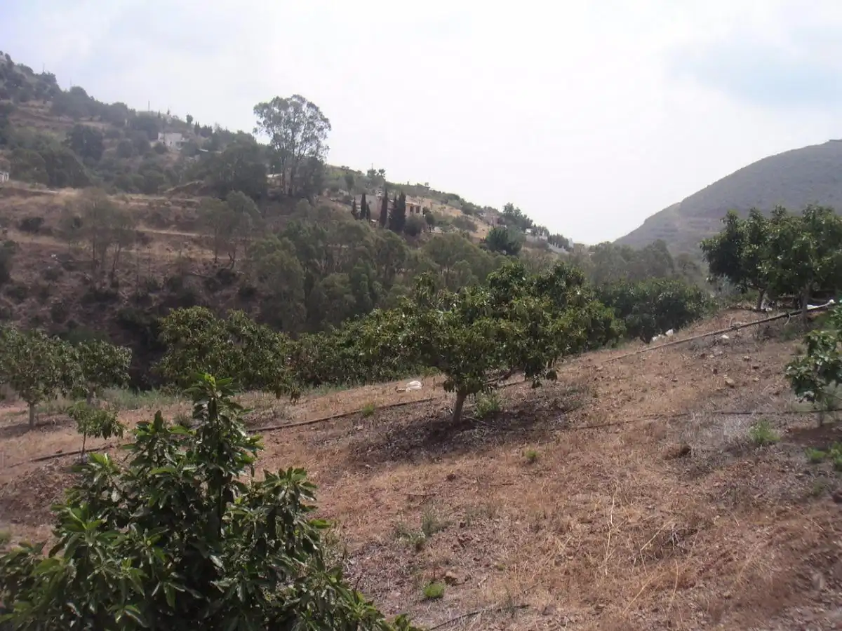 Terreni e lotti in vendita a Valtocado - La Alquería - La Atalaya, imagen 3