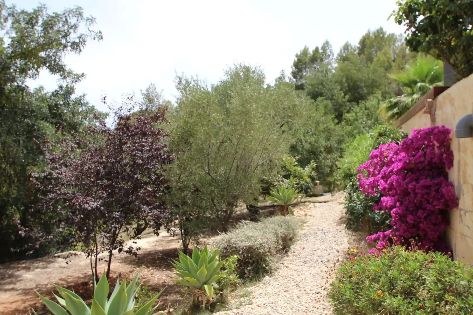 Chalet en venta en Xirles, imagen 51
