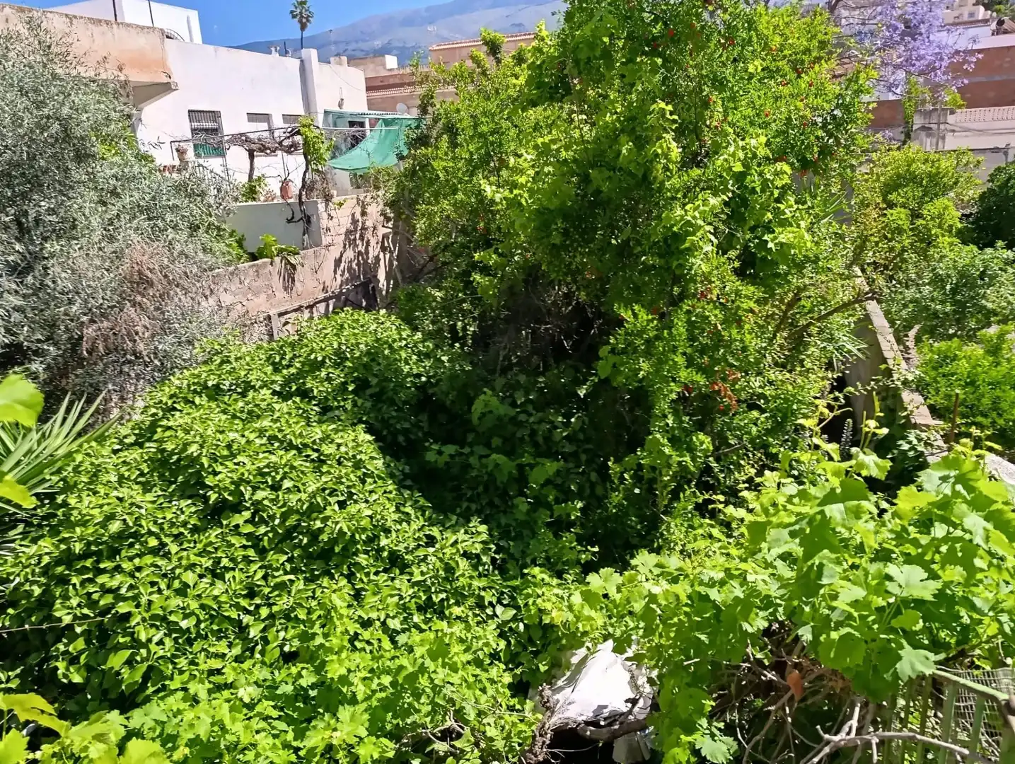 Casa con terraza en venta en Berja, imagen 20