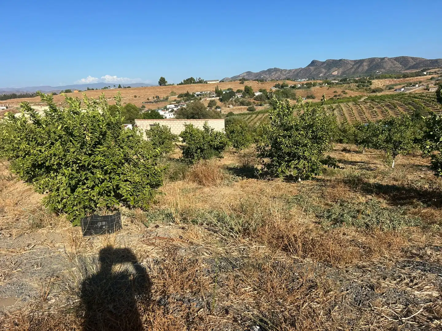 Terreno rustico in vendita a Casalpalma - Fahala, imagen 4