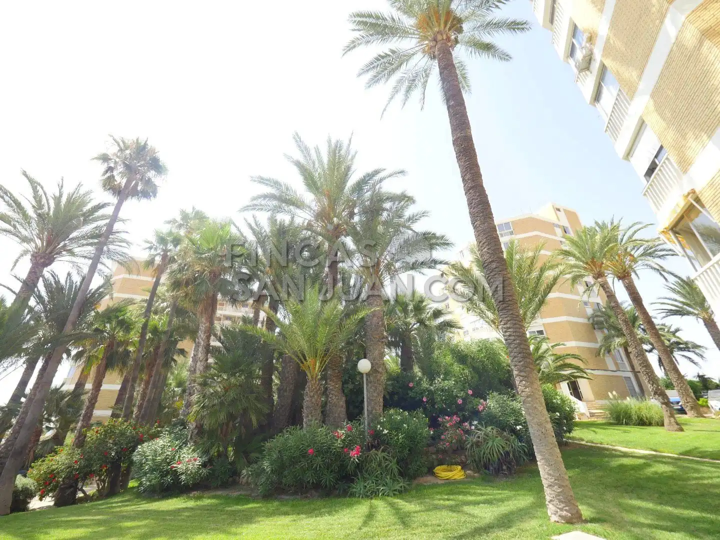 Exterior view of Flat for sale in El Campello