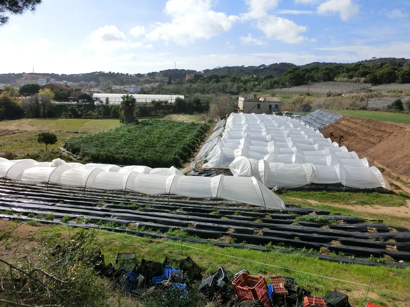 Jardín de Finca rústica en venta en Canet de Mar