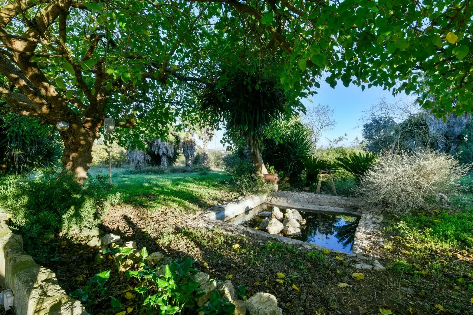 Jardí de Casa o xalet en venda en Petra amb Aire condicionat i Calefacció