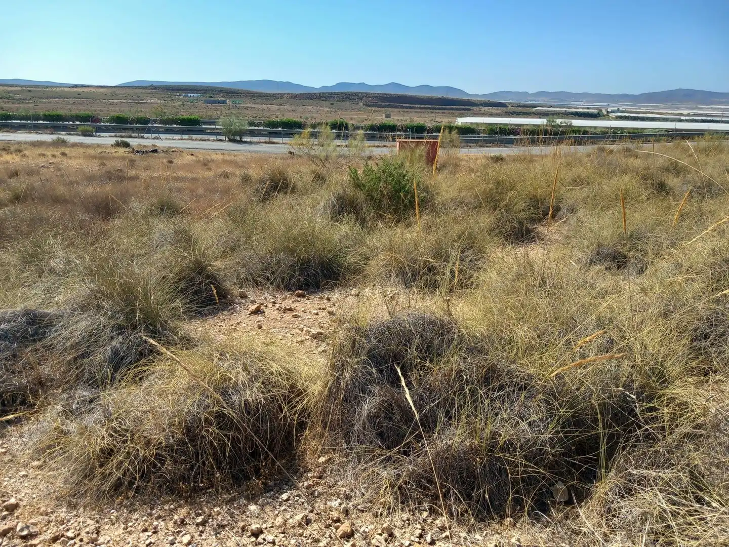 Terreny rústic en venda a San Isidro - Campohermoso, imagen 31