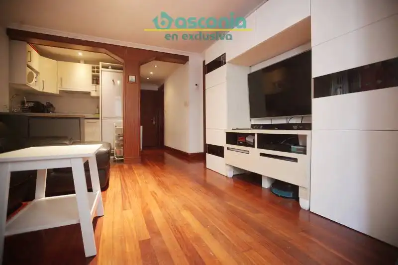 Living room of Flat for sale in Bilbao   with Furnished