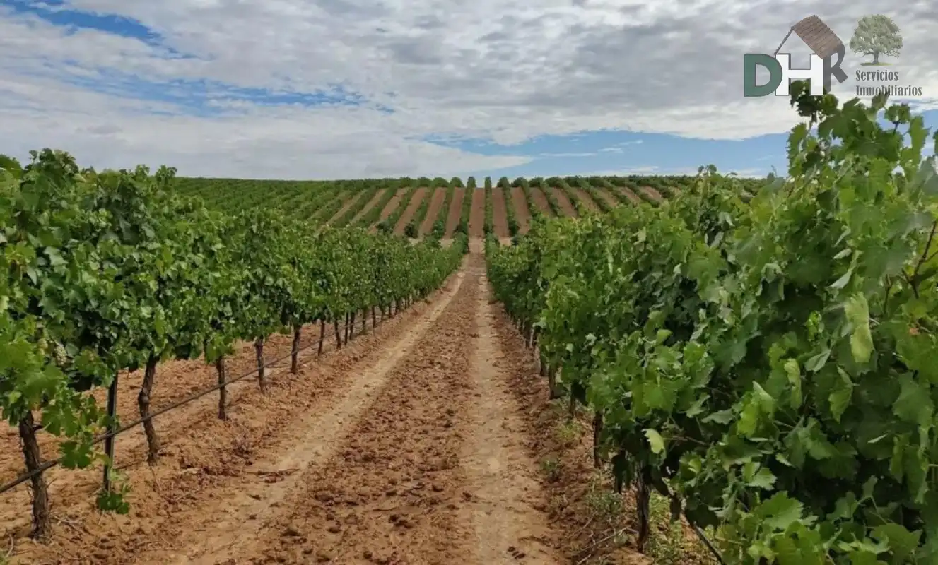 Terrenos y solares en venta en Centro, imagen 2