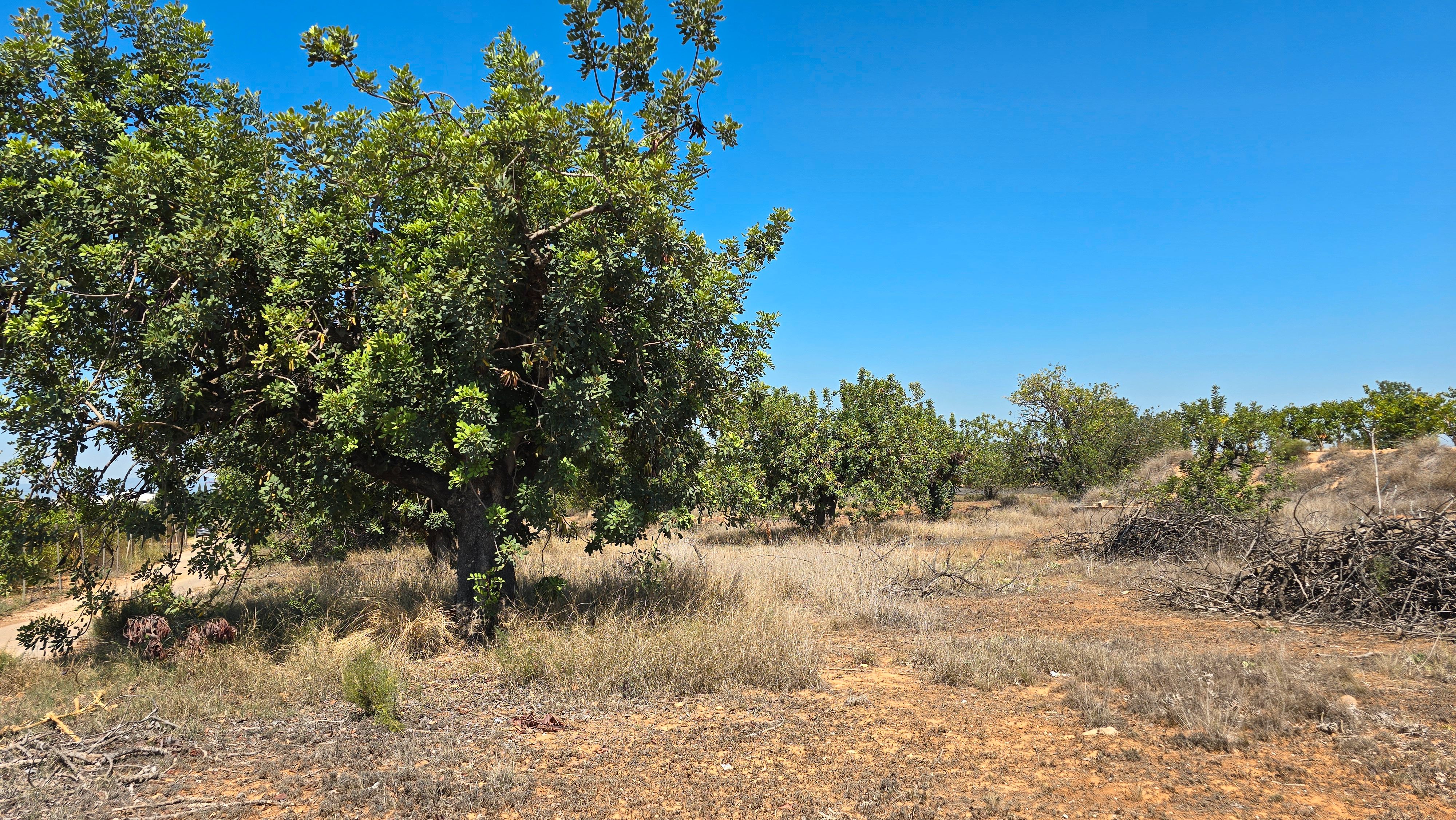 Grundstücke zum verkauf in Quart de Poblet