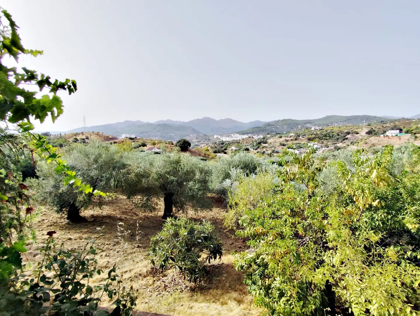 Finca rústica en venta en Coín con Jardín privado, Trastero y Amueblado