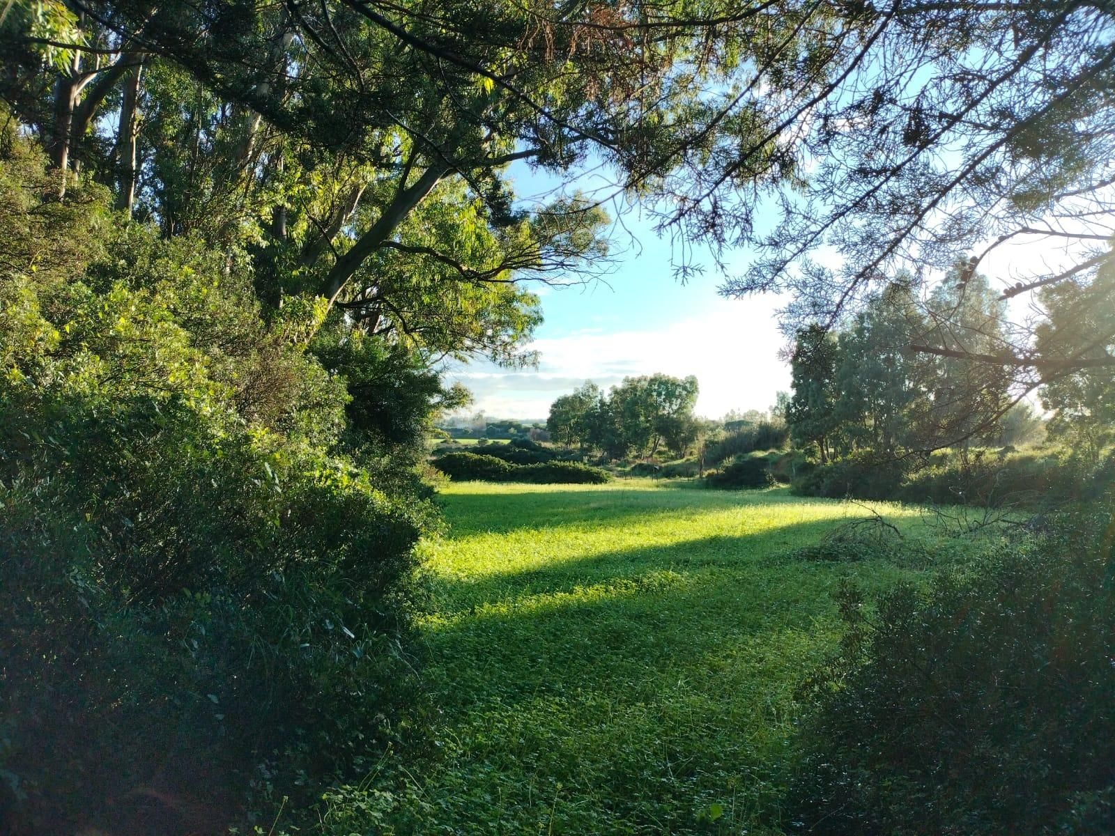 Residencial en venda en Chiclana de la Frontera