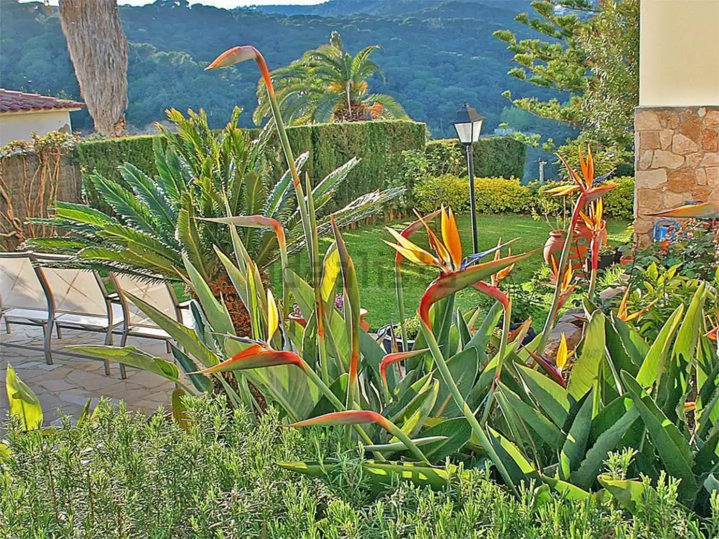 Jardí de Pis en venda en Lloret de Mar amb Jardí privat i Piscina