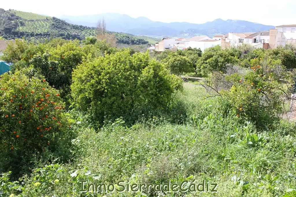 Residencial en venda a Andalucia, Torre Alháquime