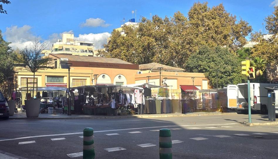 Foto 1 de Piso en venta en Pere Garau, Illes Balears