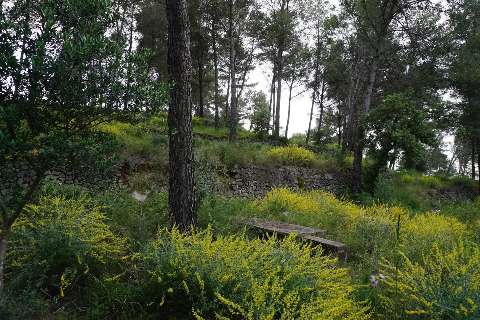 Terreno residenziale in vendita a Calle Ferreteries, imagen 23