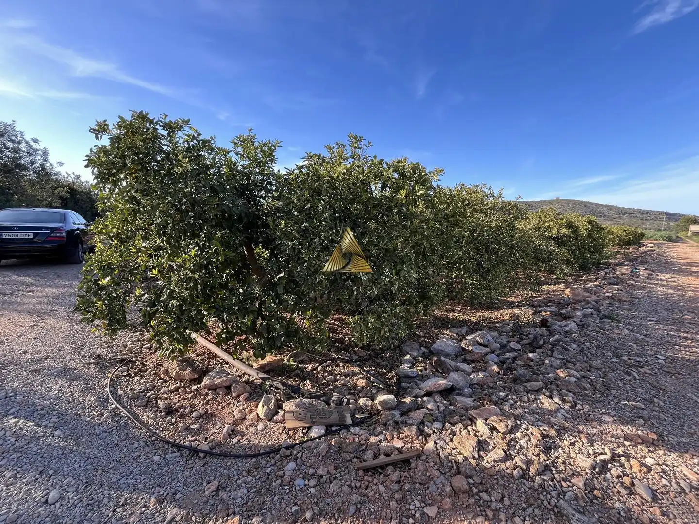 Terrenos y solares en venta en Pueblo, imagen 4