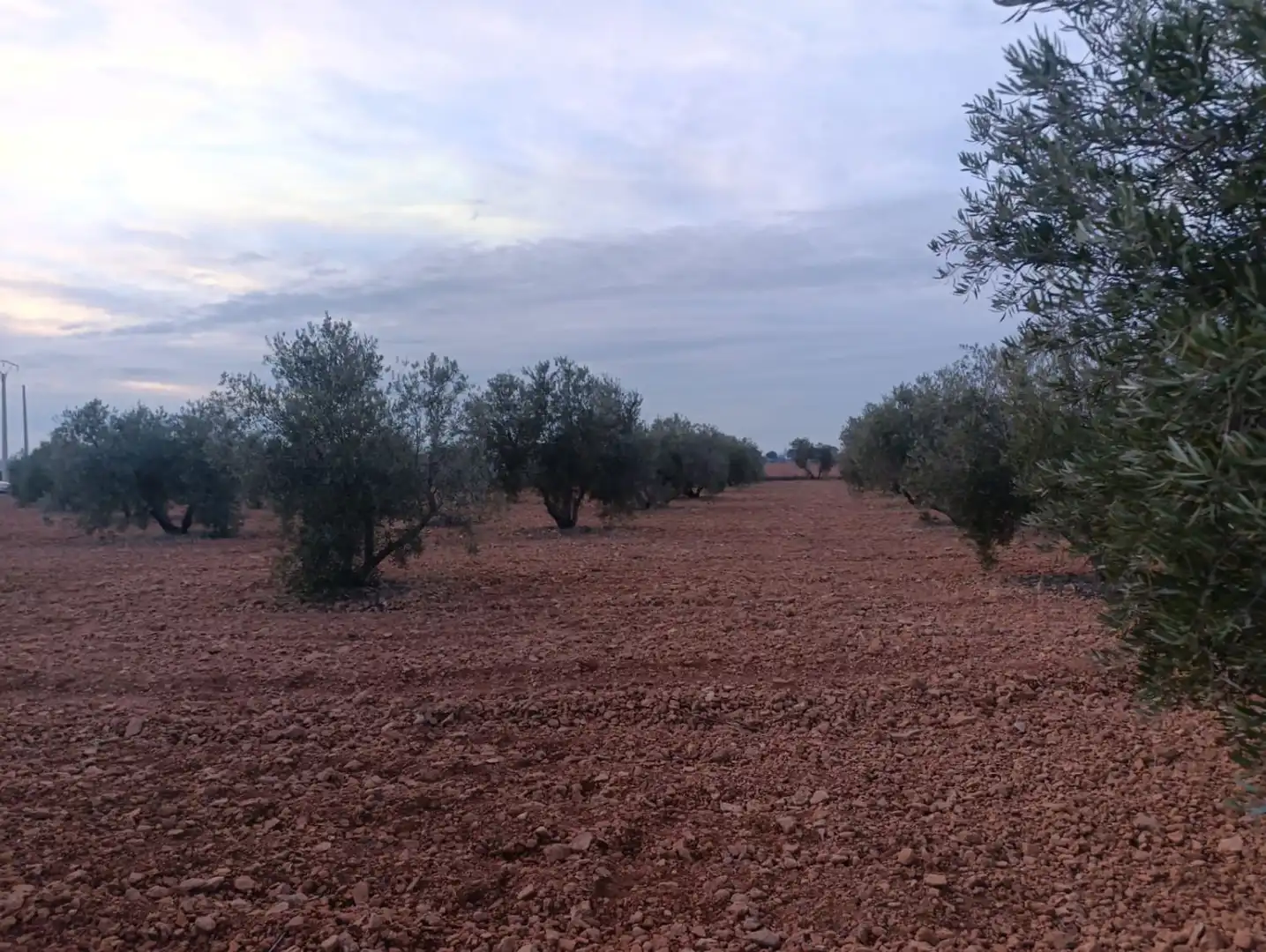 Casa rústica en venda a Valdepeñas, imagen 19