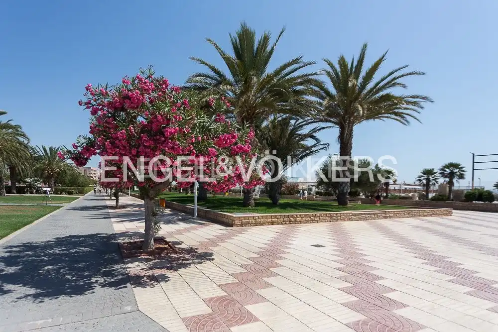 Vista exterior de Casa o chalet de alquiler en Sagunto / Sagunt con Aire acondicionado, Calefacción y Jardín privado