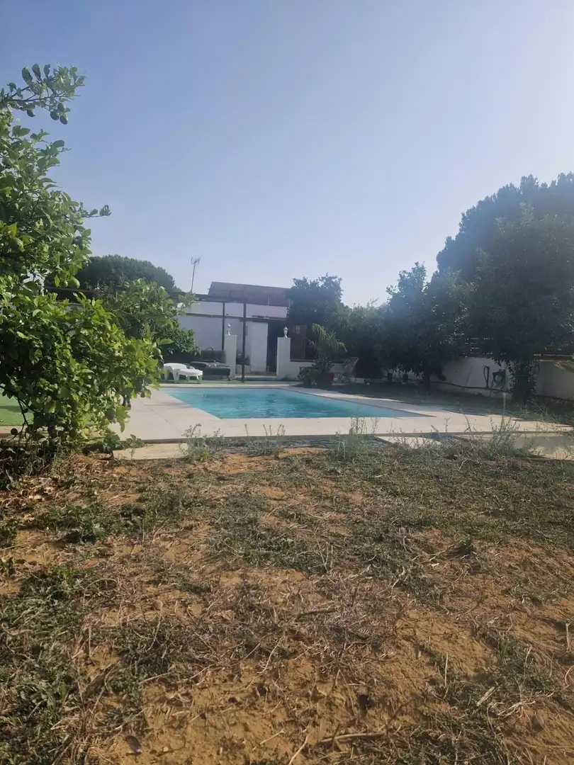 Swimming pool of Country homes for sale in Puerto Real  with Private garden and Swimming Pool